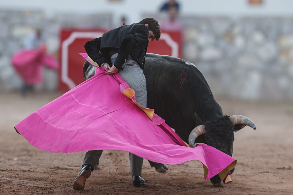 Javier Cuartero cortando orejas y rabo en México