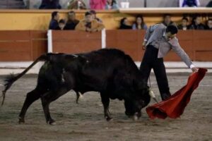 Novillos de La Gasca en la Primera Capea en Apizaco.