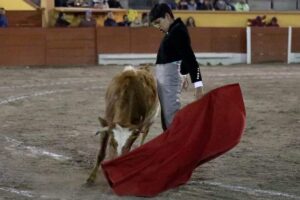 Novillos de La Gasca en la Primera Capea en Apizaco.