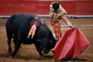 Toros de Zacatepec en Plaza La Taurina.