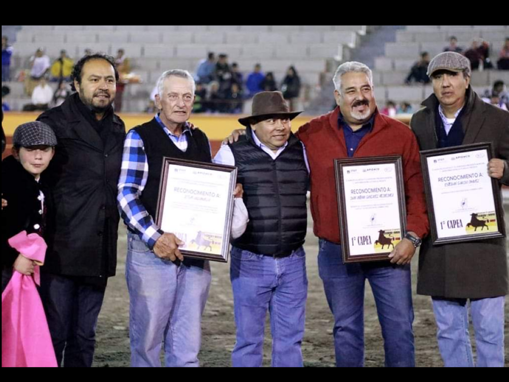 Sebastián Palomo y Emilio Macías cortan orejas en Apizaco.