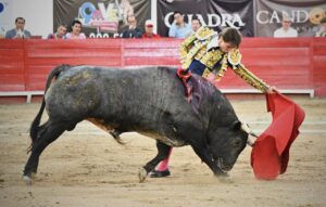 Feria de León