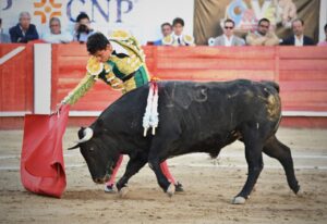 Feria de León