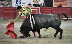 Feria de León