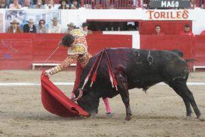 plaza de Toros La Luz de León