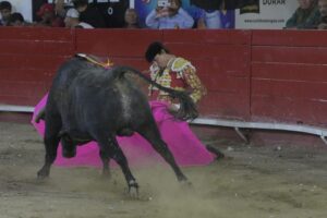 plaza de Toros La Luz de León