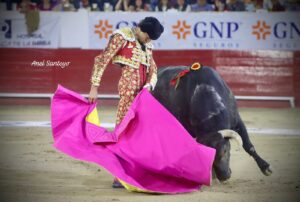 plaza de Toros La Luz de León