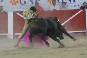 plaza de Toros La Luz de León