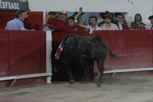 plaza de Toros La Luz de León