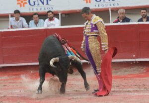 Feria Internacional de San Marcos