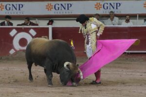 Feria Internacional de San Marcos