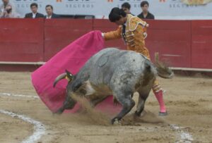 Plaza de Toros Nuevo Progreso