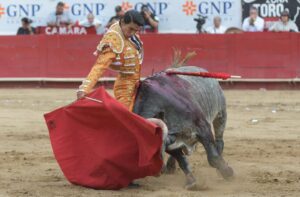 Plaza de Toros Nuevo Progreso
