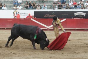 Plaza de Toros Nuevo Progreso