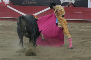 Plaza de Toros Nuevo Progreso