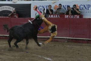 Plaza de Toros Nuevo Progreso