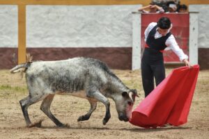 IMG-20250718-WA0023