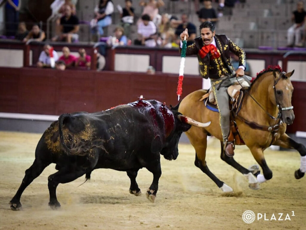 GAMERO, VUELTA AL RUEDO EN MADRID