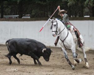 rejoneador André