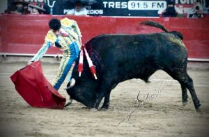 IMG-20251010-WA0162