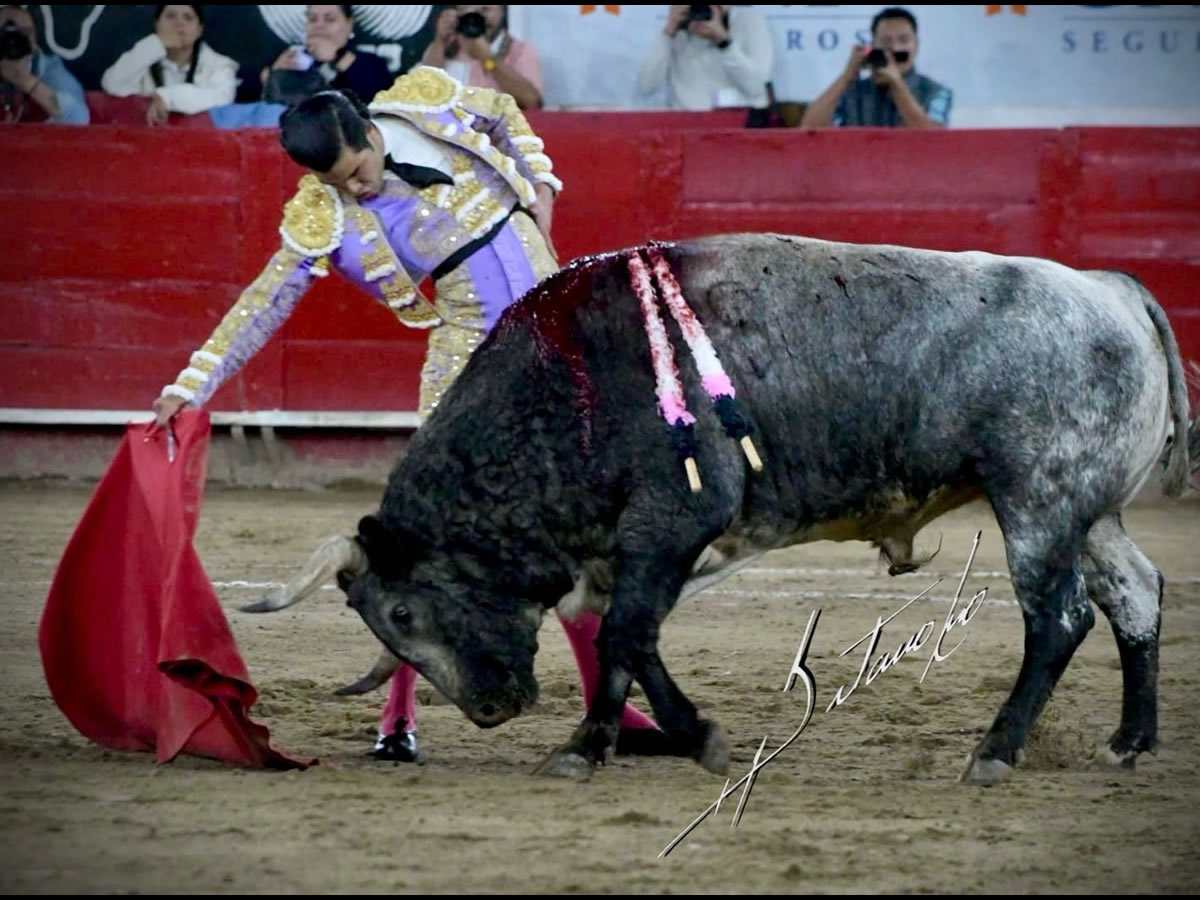A HOMBROS SAN ROMAN EN GUADALAJARA