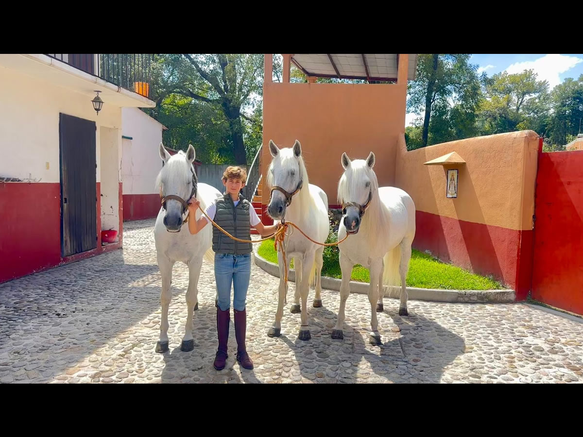 LLEGAN A MÉXICO LOS CABALLOS ESTRELLA DE LA CUADRA DEL REJONEADOR ANDRÉ