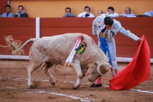 WhatsApp Image 2025-11-02 at 17.21.49 (1)