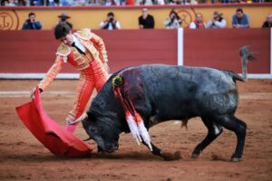 WhatsApp Image 2025-11-02 at 17.41.25 (1)