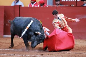 WhatsApp Image 2025-11-02 at 17.41.25