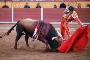 WhatsApp Image 2025-11-02 at 18.06.57_1