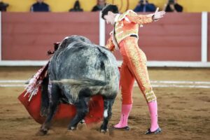 WhatsApp Image 2025-11-02 at 19.02.31 (2)