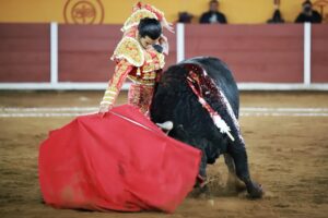 WhatsApp Image 2025-11-02 at 19.42.50