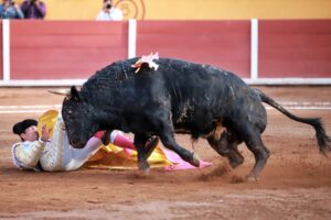 WhatsApp Image 2025-11-08 at 17.24.36 (1)