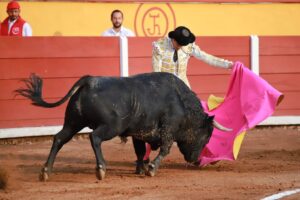 WhatsApp Image 2025-11-08 at 17.24.36