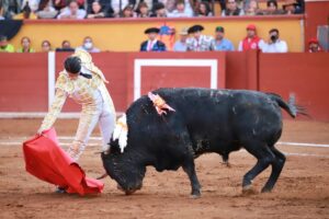 WhatsApp Image 2025-11-08 at 17.24.37