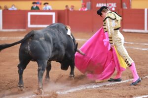 WhatsApp Image 2025-11-08 at 17.49.54