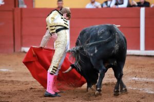 WhatsApp Image 2025-11-08 at 17.49.55