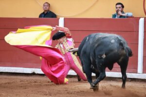 WhatsApp Image 2025-11-08 at 18.17.05