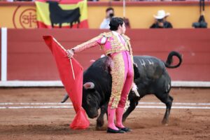 WhatsApp Image 2025-11-08 at 18.17.06