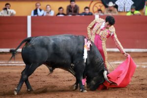 WhatsApp Image 2025-11-08 at 18.17.07