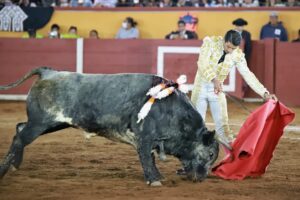 WhatsApp Image 2025-11-08 at 18.31.32 (1)