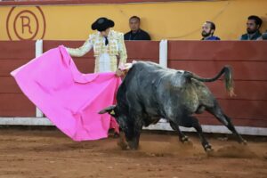 WhatsApp Image 2025-11-08 at 18.31.32