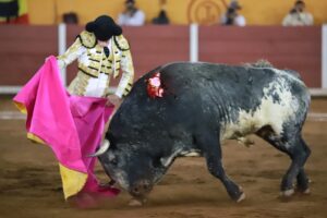 WhatsApp Image 2025-11-08 at 19.08.49 (1)