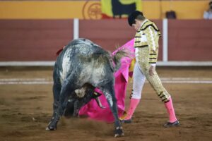 WhatsApp Image 2025-11-08 at 19.08.49 (2)