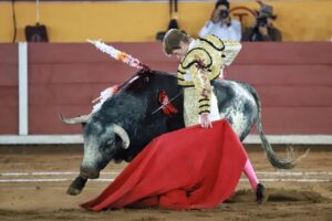 WhatsApp Image 2025-11-08 at 19.08.49 (3)