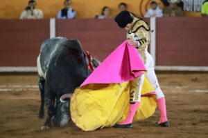 WhatsApp Image 2025-11-08 at 19.08.49