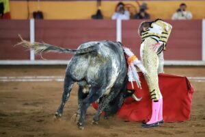 WhatsApp Image 2025-11-08 at 19.08.50