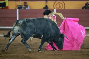 WhatsApp Image 2025-11-08 at 19.31.29