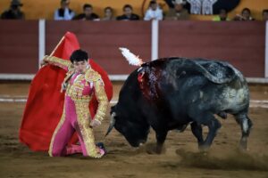 WhatsApp Image 2025-11-08 at 19.31.31