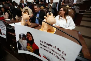 aprueba-congreso-fin-de-fiesta-brava-en-cdmx_2ecb5a14-dcf2-406c-a3e6-81da9eb71e7f_media